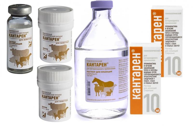 Гомеопатический препарат Кантарен обладает мочегонным, противовоспалительным, спазмолитическим действием