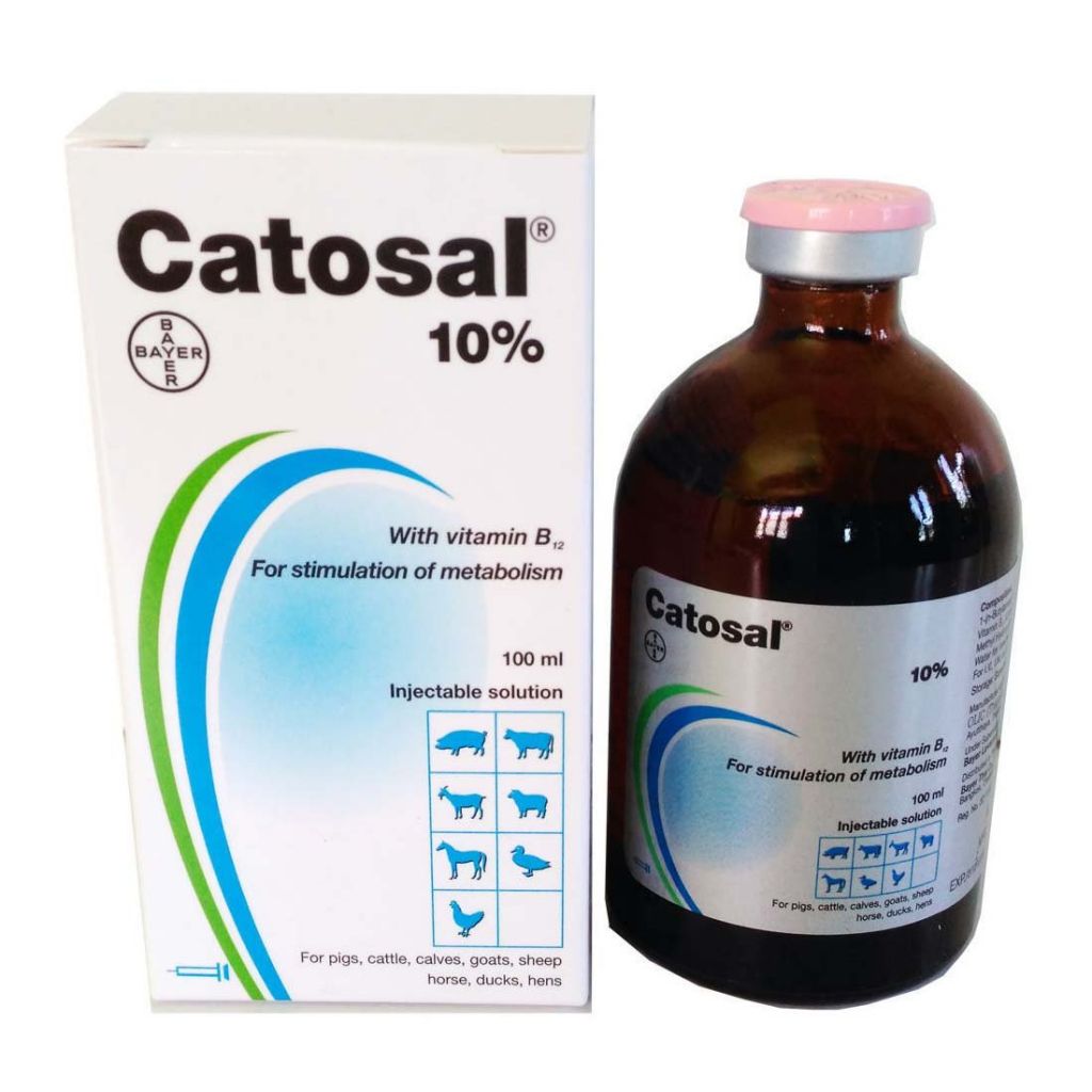 Катозал обладает общеукрепляющим, иммуностимулирующим и корректирующим метаболизм действием