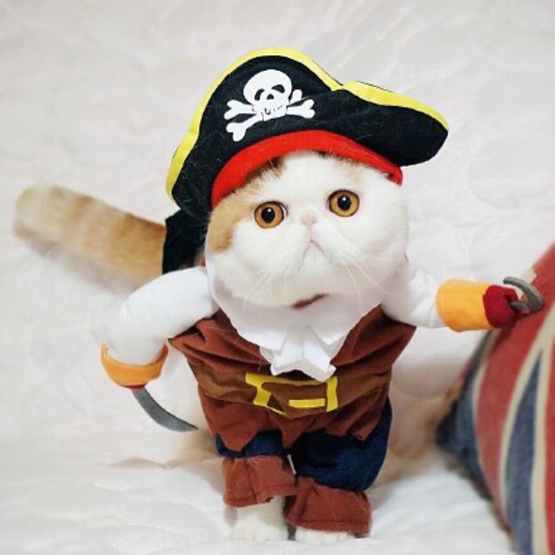Пират Снупи