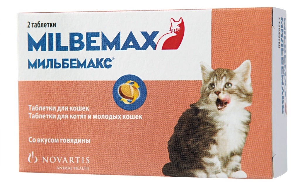 Мильбемакс подойдет в качестве первого антигельминтного средства для 1,5-месячных котят