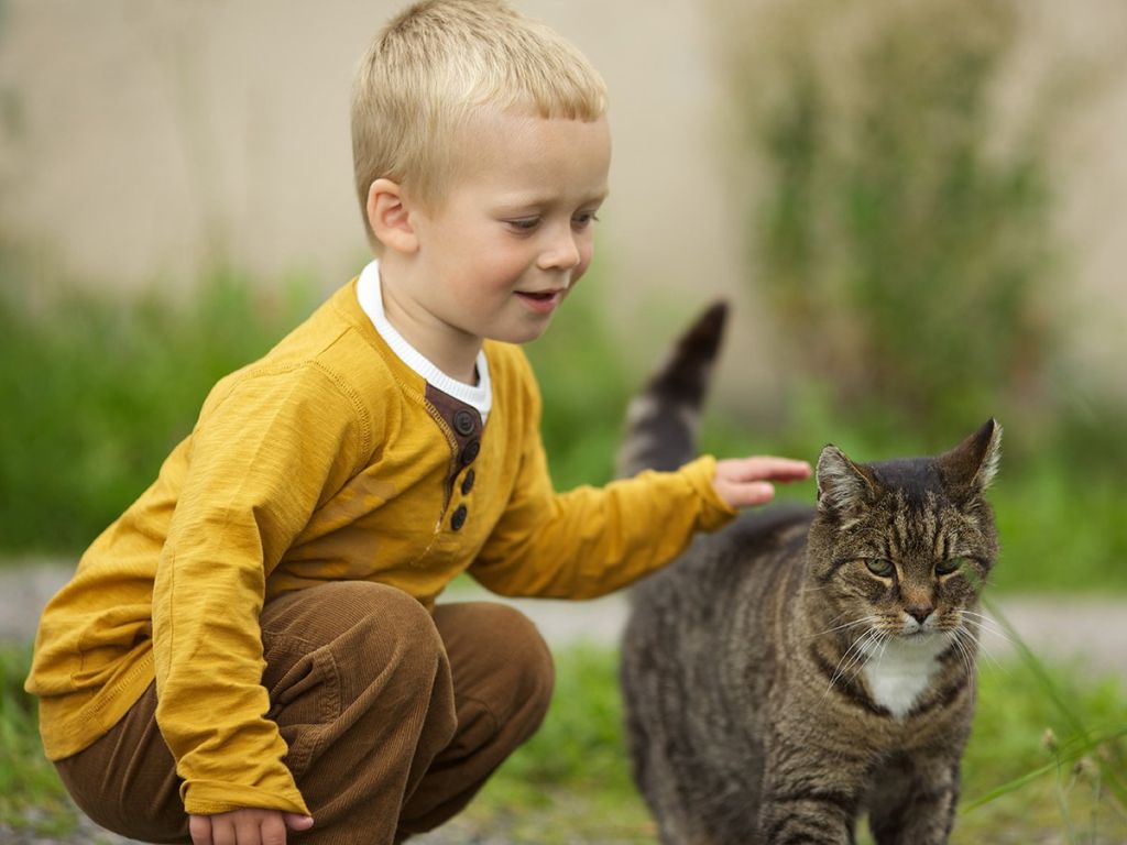 До выяснения точной причины аллергии, желательно оградить малыша от контакта с кошками