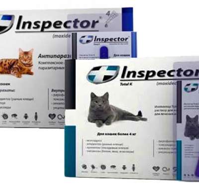 Инспектор для кошек