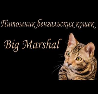 Питомник Big Marshal